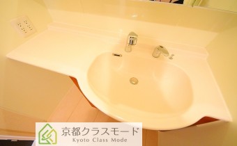 シャンプードレッサー