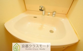 シャンプードレッサー