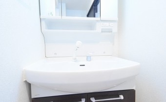 シャンプードレッサー