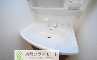 シャンプードレッサー
