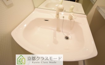 シャンプードレッサー