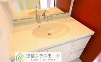 シャンプードレッサー
