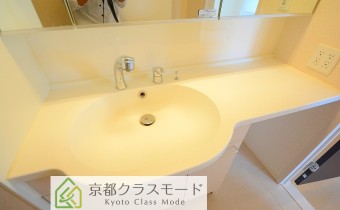 シャンプードレッサー