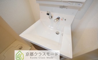 シャンプードレッサー