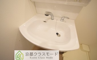 シャンプードレッサー