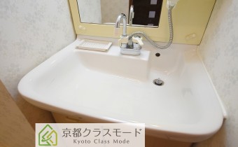 シャンプードレッサー