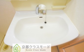シャンプードレッサー