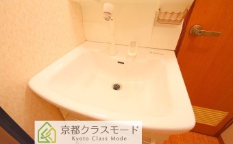 シャンプードレッサー