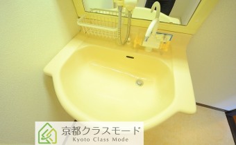 シャンプードレッサー