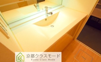 シャンプードレッサー