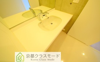 シャンプードレッサー
