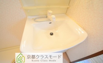 シャンプードレッサー