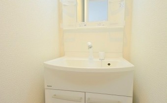シャンプードレッサー