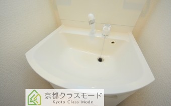 シャンプードレッサー