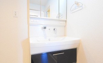 シャンプードレッサー