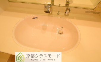 シャンプードレッサー