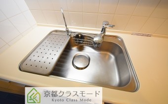 シャワー水柱＆浄水器付き