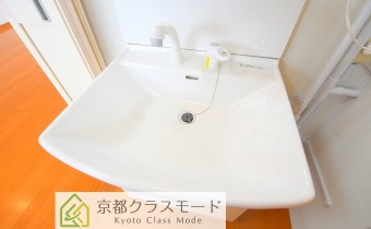 シャンプードレッサー