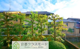 眺望・南向き