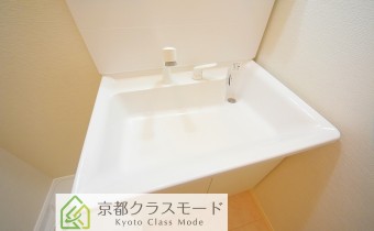 シャンプードレッサー
