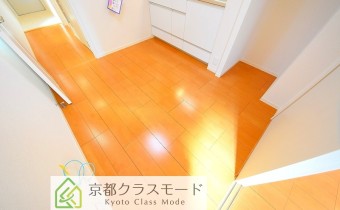 DK4.5帖・別アングル