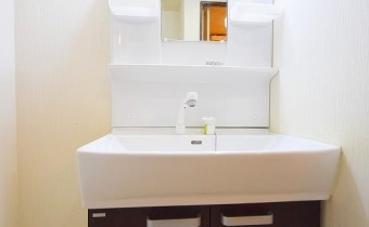シャンプードレッサー