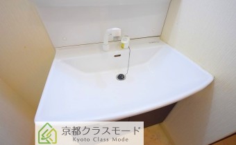 シャンプードレッサー