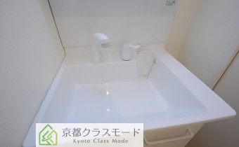 シャンプードレッサー
