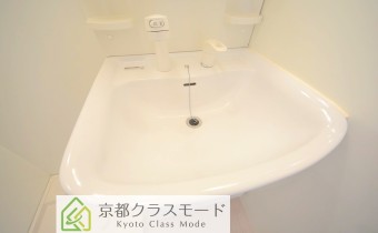 シャンプードレッサー