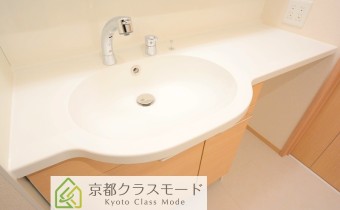 シャンプードレッサー