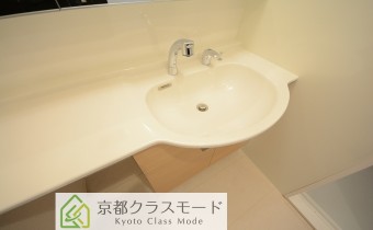 シャンプードレッサータイプ