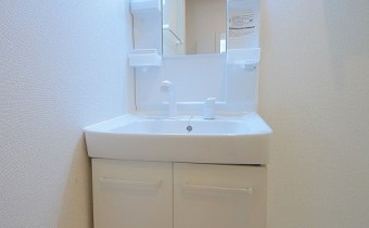 シャンプードレッサー