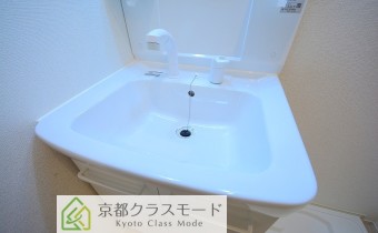 シャンプードレッサー