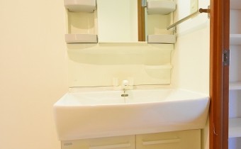 シャンプードレッサー　※写真は同マンション1101号室のものです