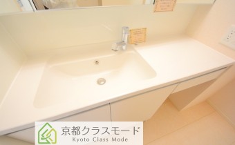 シャンプードレッサー