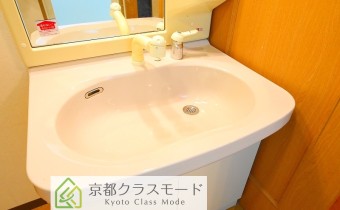 シャンプードレッサー