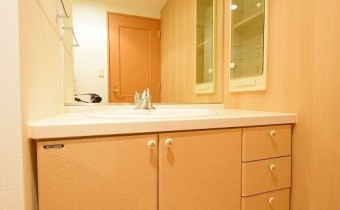 独立洗面台　※室内写真は同マンション内の別タイプのものです。