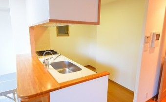 キッチンスペース　※室内写真は同マンション内の別タイプのものです。