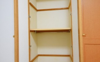 Room クローゼット　※室内写真は同マンション内の別タイプのものです。
