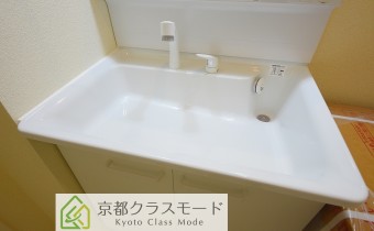 シャンプードレッサー