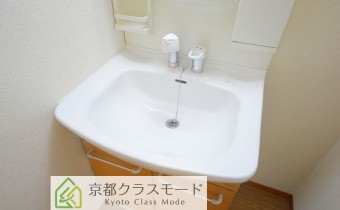 シャンプードレッサー