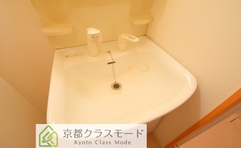 シャンプードレッサー