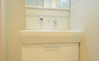 シャンプードレッサー