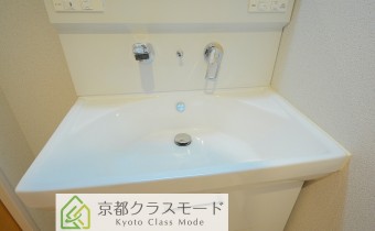 シャンプードレッサー