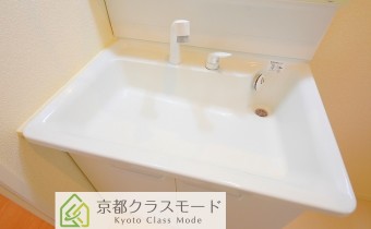 シャンプードレッサー
