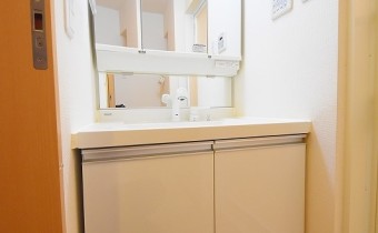 シャンプードレッサー