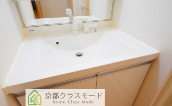 シャンプードレッサー