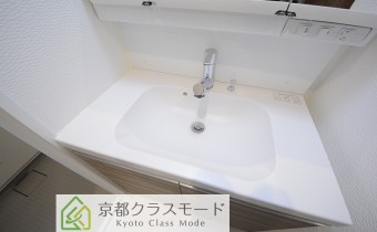 シャンプードレッサー