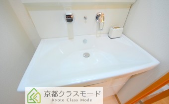 シャンプードレッサー