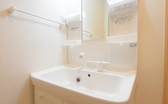 シャンプードレッサー